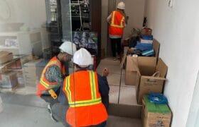 WhatsApp Image 2025-01-30 at 14.45.50